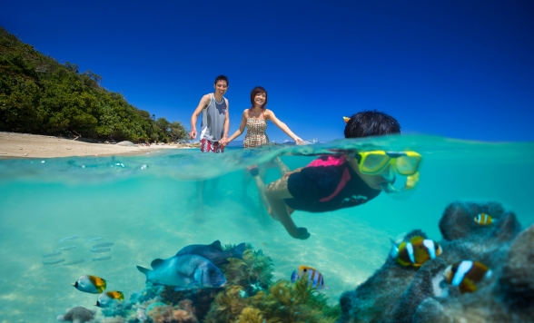 フィッツロイ島＆モアリーフツアー 1日で2つの体験ができる！